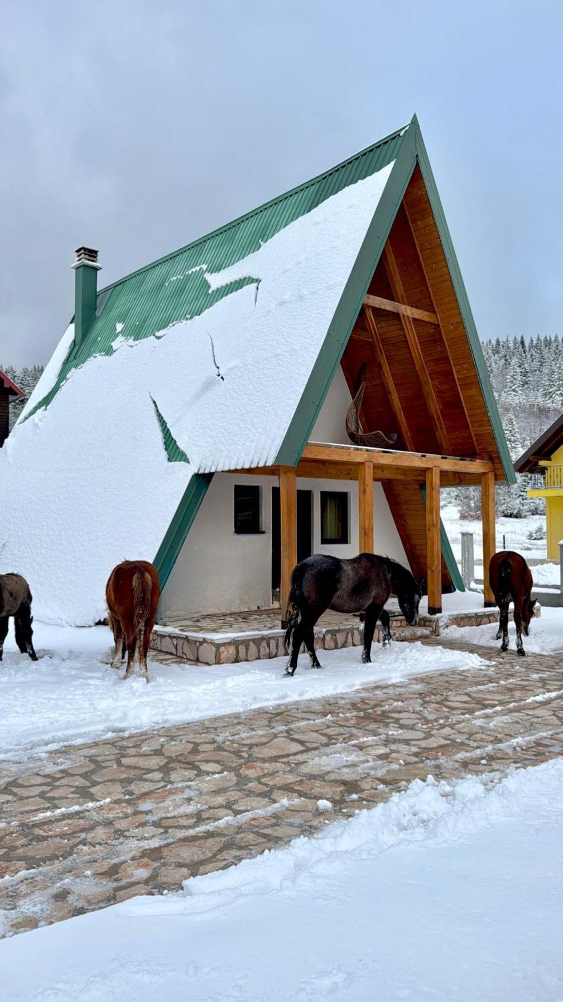Woodside Zabljak Exterior photo